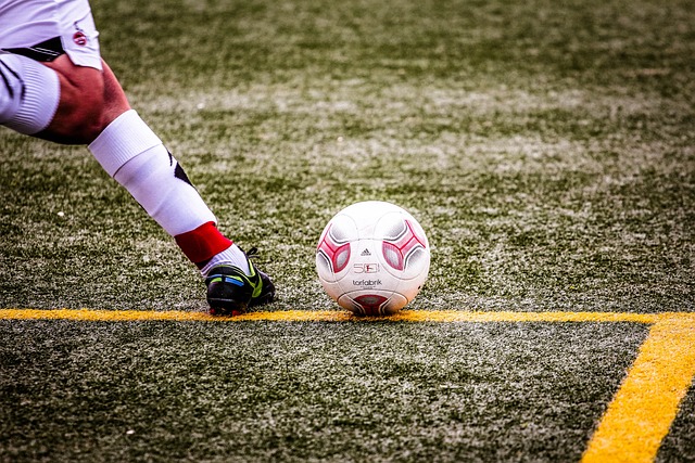 众多高水平 众多高水平