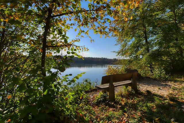仅展现了萨 仅展现了萨