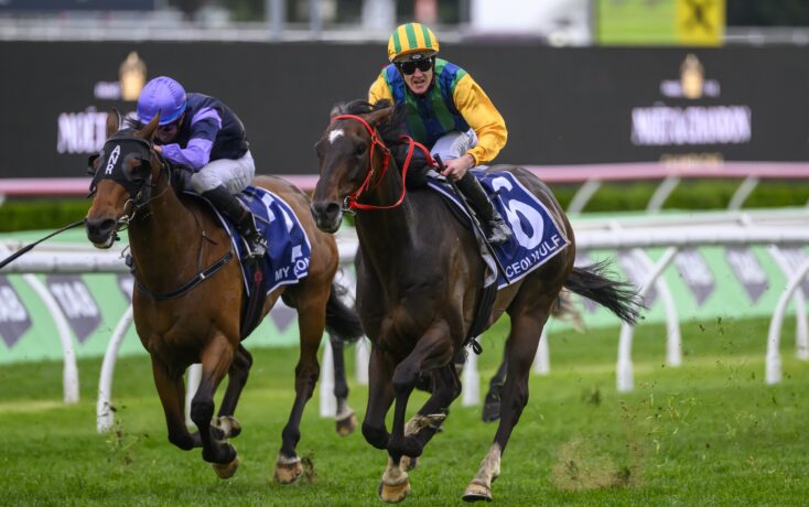 一次极佳展 一次极佳展